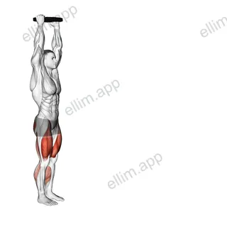 Weighted Plate Overhead March exercise targeting Thighs and Gluteus Maximus