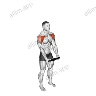 Weighted Plate Standing High Front Raise exercise targeting Shoulders