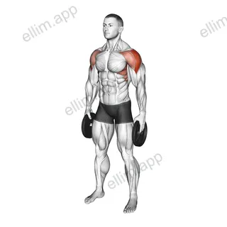Weighted Plate Standing Lateral Raise exercise targeting Shoulders