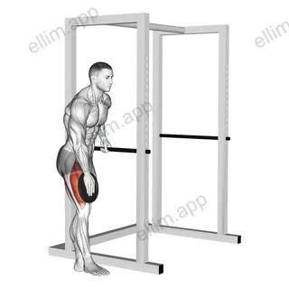 Weighted Single Leg Lift exercise targeting Thighs and Iliopsoas