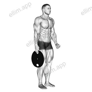 Weighted Standing Hand Squeeze exercise targeting Forearms