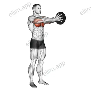 Weighted Svend Press exercise targeting Chest and Pectoralis Major Sternal Head