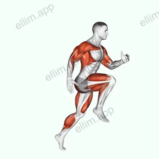 Wheel Run exercise targeting Cardio
