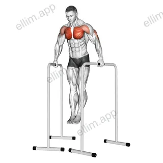 Wide Grip Chest Dip on High Parallel Bars exercise targeting Chest