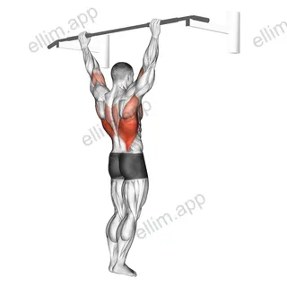 Wide Grip Rear Pull Up exercise targeting Back