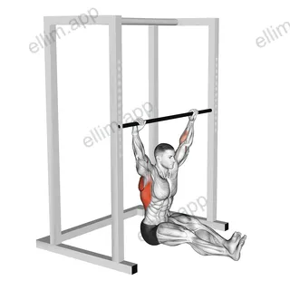Wide Seated Pull up exercise targeting Back