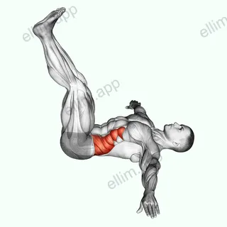 Wipers (straight leg) exercise targeting Waist and Obliques