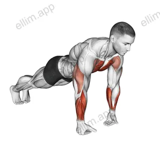 Wrist Full Push-up exercise targeting Chest