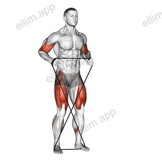 X Band Side Walk exercise targeting Thighs
