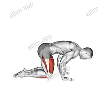 Yoga Vajrasana Thunderbolt Diamond Pose exercise targeting Stretching